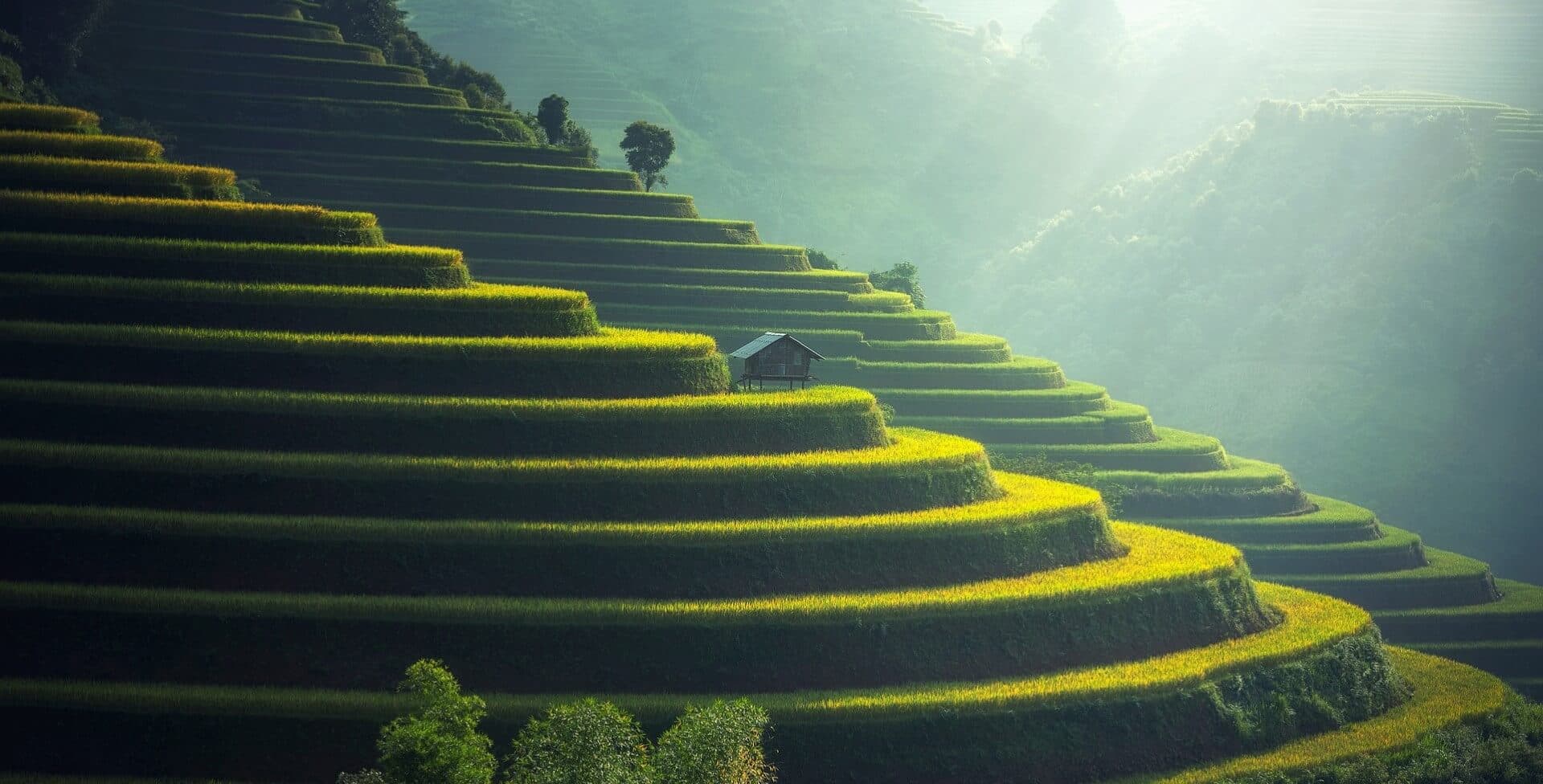 Agricultural landscape